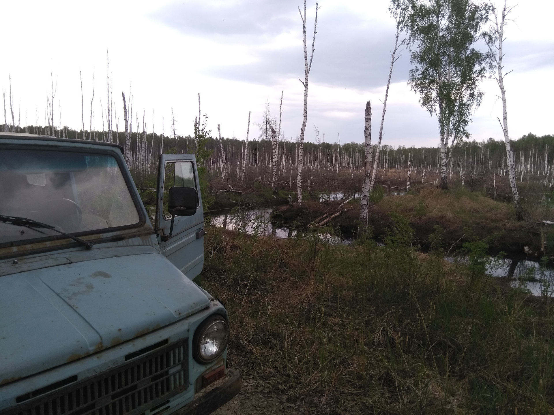 Живой мир Абу-Даби или спасение рядового Черепашка — DRIVE2