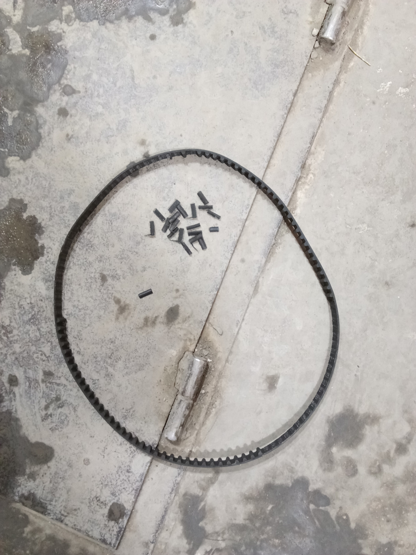 Ремень ГРМ двигателя 11182 — Lada Гранта (2G) FL, 1,6 л, 2021 года ...