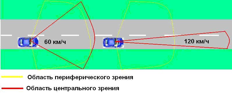 Периферическое зрение это. Центральное и периферийное зрение. Периферийное зрение водителя. Угол периферийного зрения. Центральное зрение и периферическое зрение.