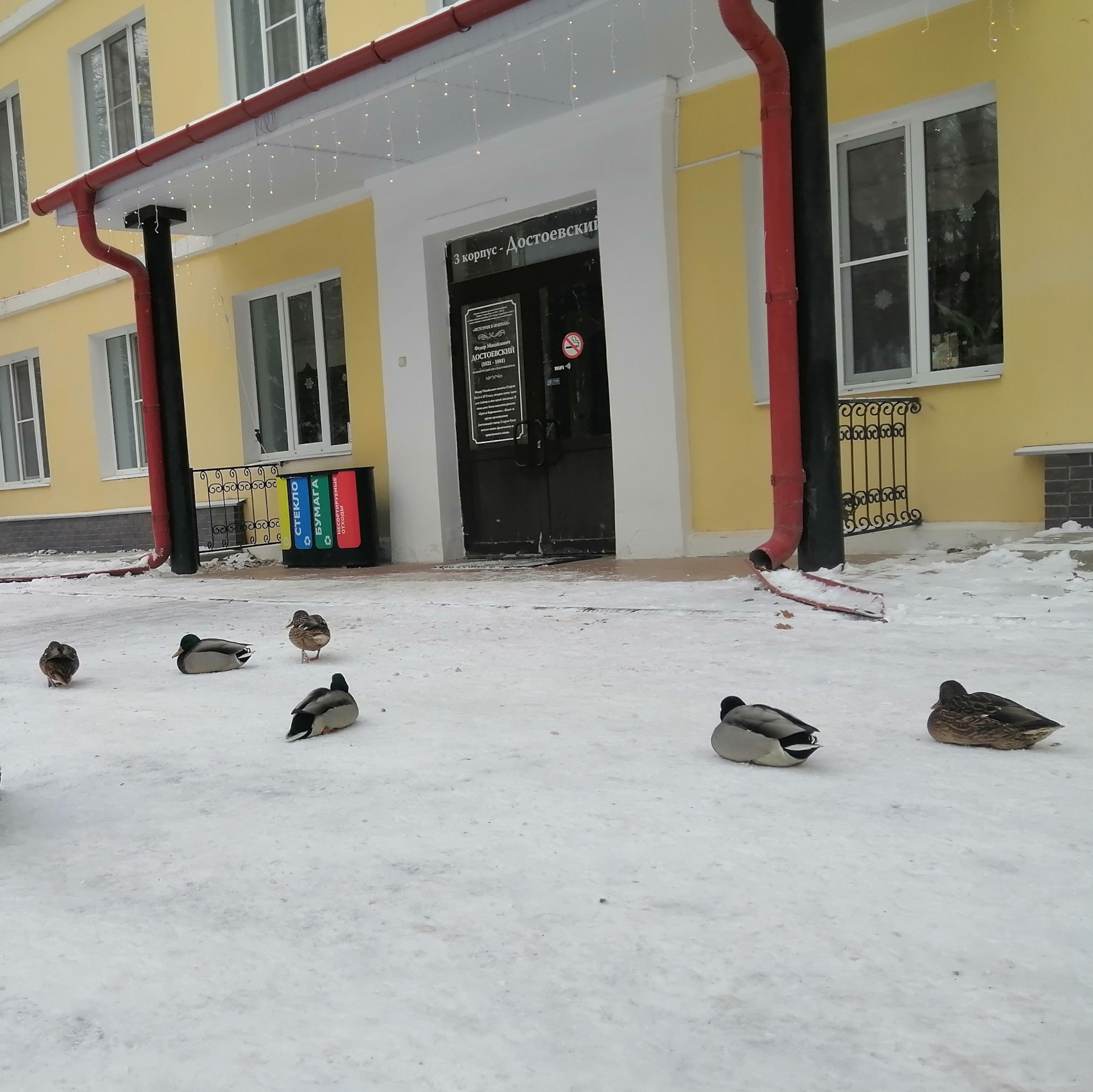 Новогодье в Новгородье. 2 день: Старая Русса. Дом-музей Достоевского,  Царицынский источник, башня, усадьба средневекового рушанина — DRIVE2