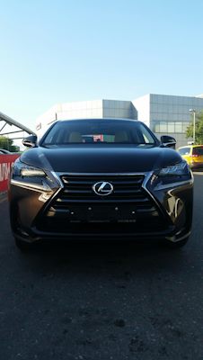 OgAAAgIDEOA 240 Как определить машина мальчик или девочка