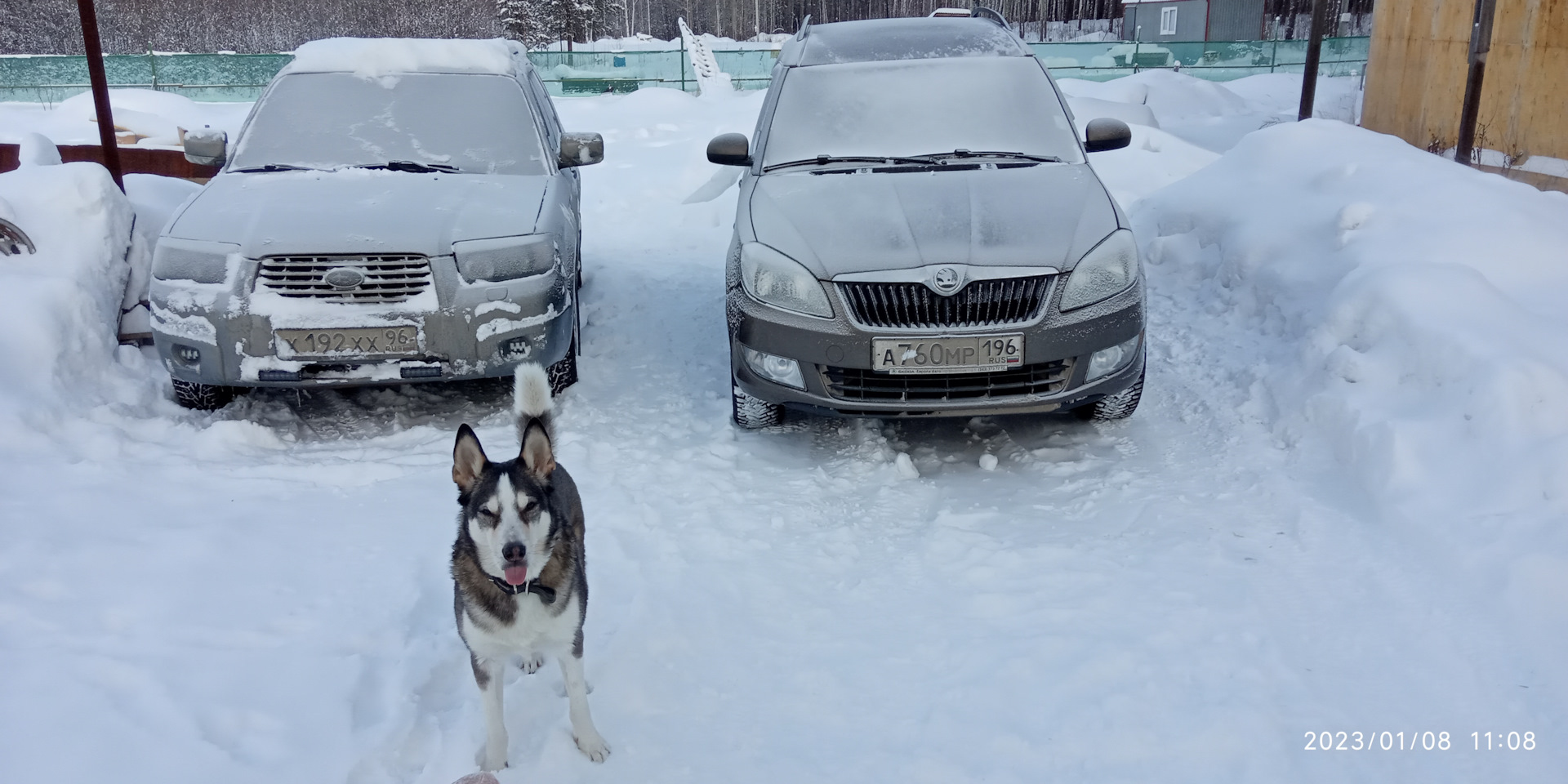 15 Туманки sg5 — Subaru Forester (SG), 2,5 л, 2003 года | своими руками |  DRIVE2