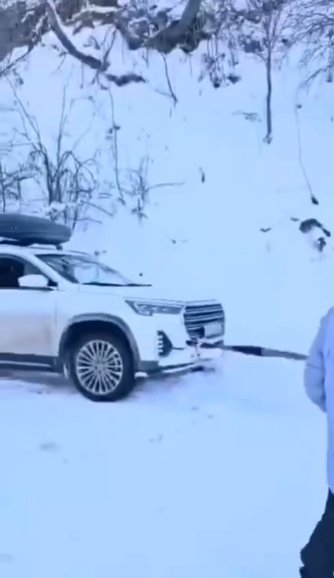 Забавные картинки хорошего дня