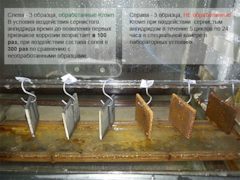 Обработка авто антикоррозийным составом по технологии краун. Смотреть фото Обработка авто антикоррозийным составом по технологии краун. Смотреть картинку Обработка авто антикоррозийным составом по технологии краун. Картинка про Обработка авто антикоррозийным составом по технологии краун. Фото Обработка авто антикоррозийным составом по технологии краун