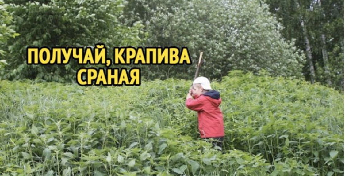 Мем с палкой