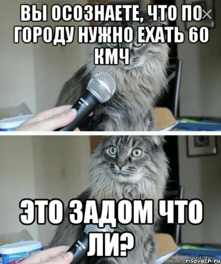 Нужный шестьдесят. А вы знали. Мемы с котом и микрофоном. Кот с микрофоном Мем. Вы осознаете.