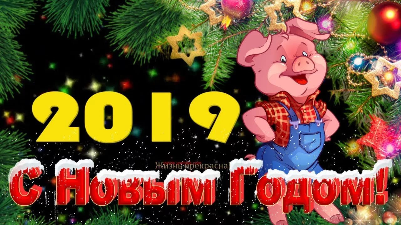 Весело 2019. Новогоднее поздравление от трех поросят. С новым 2019 годом соседи картинки.