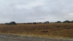 какая связь на варандее на. Смотреть фото какая связь на варандее на. Смотреть картинку какая связь на варандее на. Картинка про какая связь на варандее на. Фото какая связь на варандее на какая связь на варандее на. Смотреть фото какая связь на варандее на. Смотреть картинку какая связь на варандее на. Картинка про какая связь на варандее на. Фото какая связь на варандее на