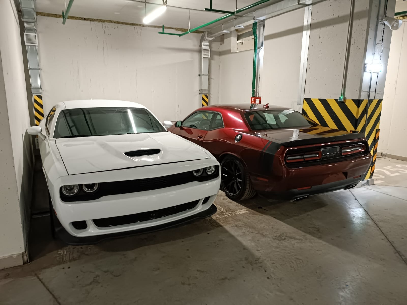 Эпизод первый. Не простой выбор. — Dodge Challenger, 3,6 л, 2019 года |  покупка машины | DRIVE2