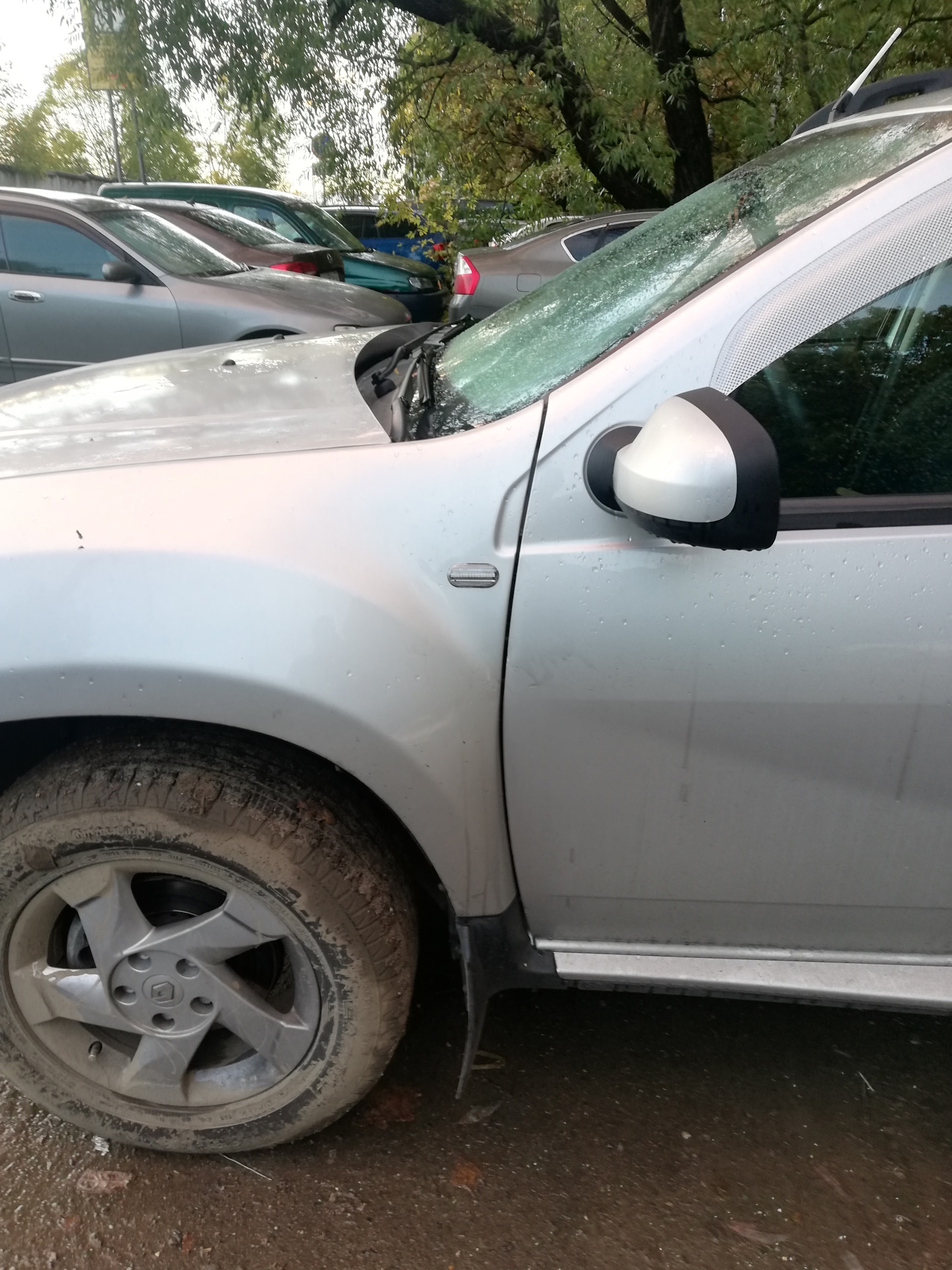 Бегущие поворотники — Renault Duster (1G), 2 л, 2015 года | тюнинг | DRIVE2