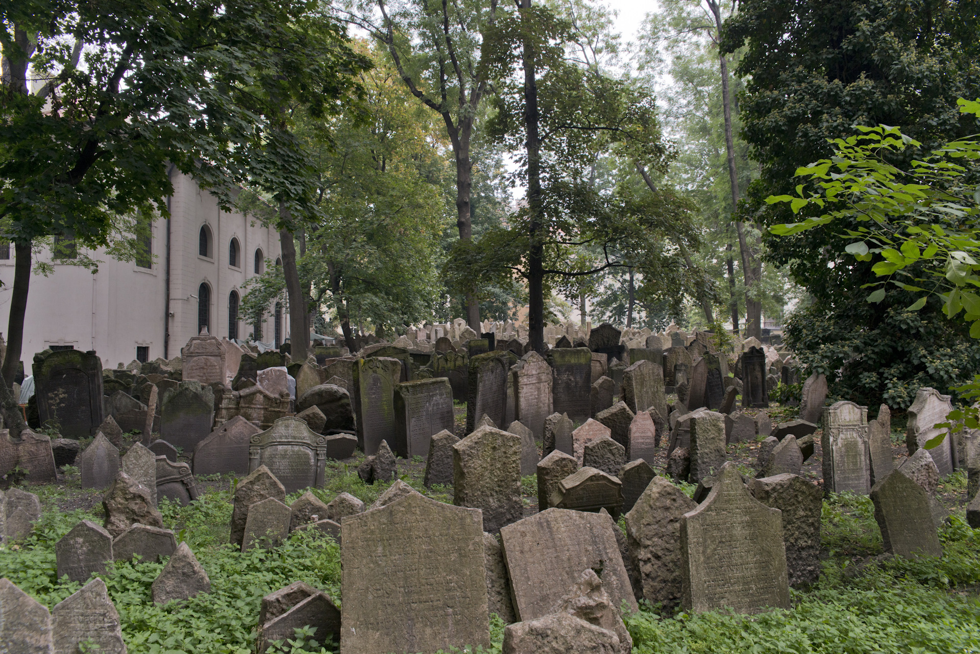 Бобруйск старое еврейское кладбище