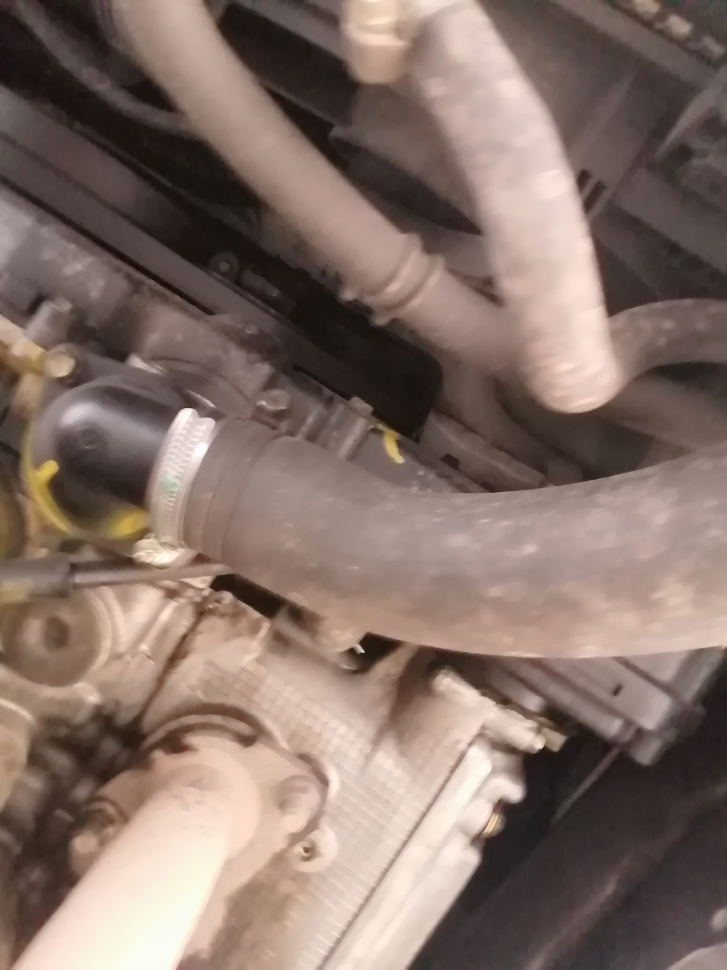 Пахнет из-под капота маслом — Subaru Forester (SF), 2 л, 1997 года ...