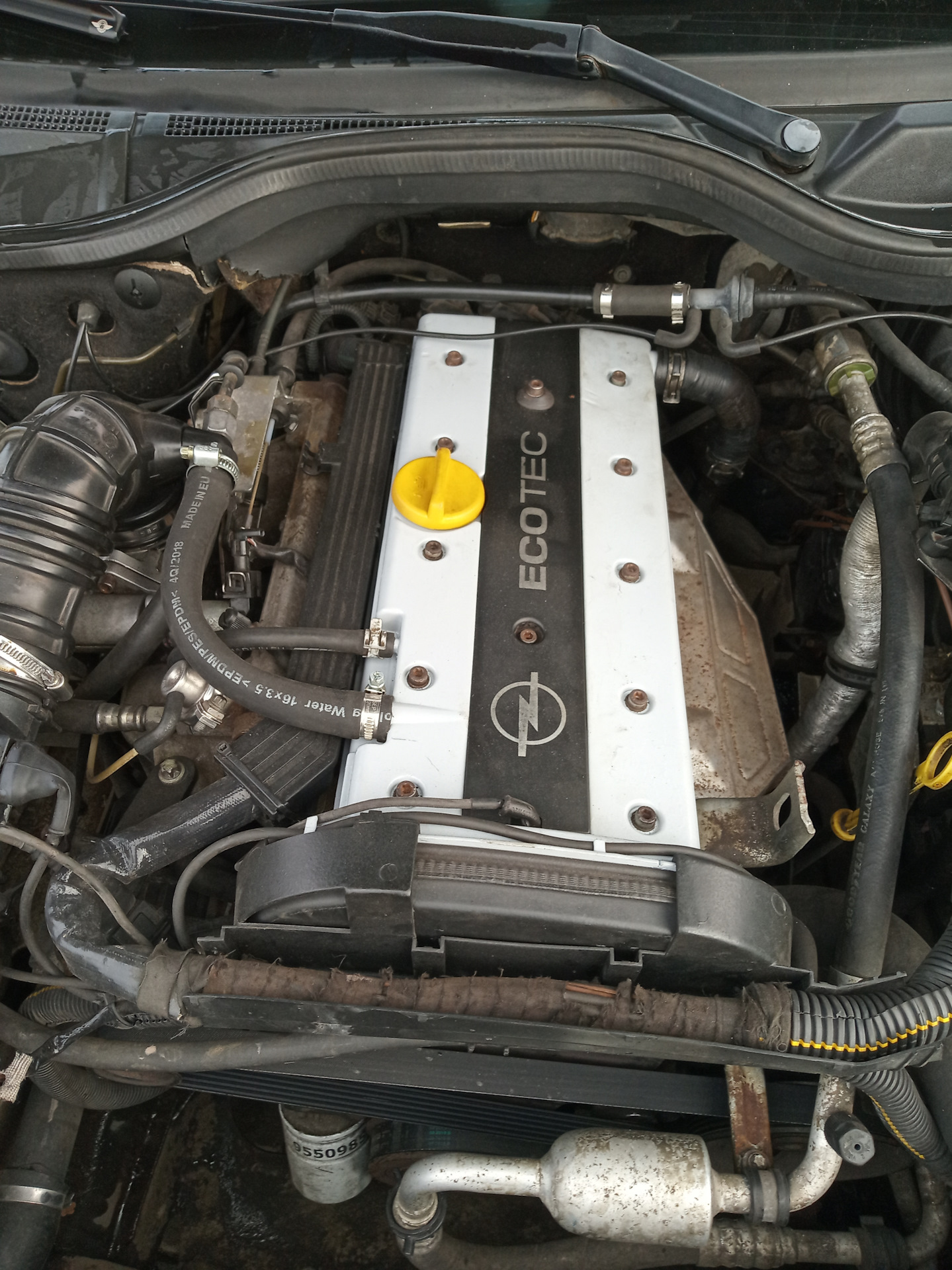Двигатель омега б 2.0. Опель Омега 2.0 16v. Опель Омега б 2.0 16v. Опель Омега а 2.0. Opel Omega b 1998 2.0.
