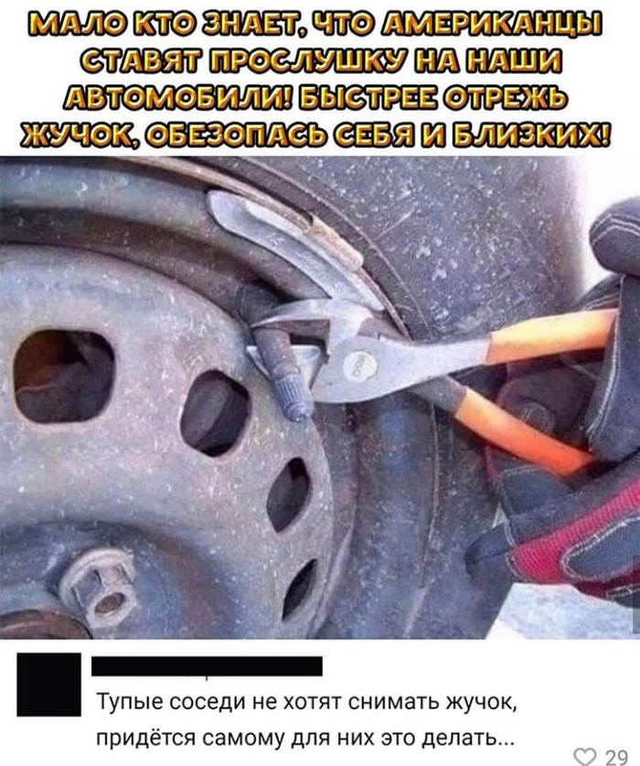 Сначала план по спасению жучки