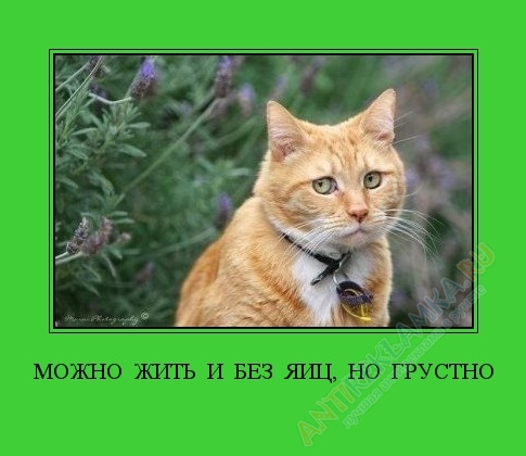 Стихи о радости жизни короткие. Просто живи цитаты. Можно жить можно быть а мне. Красивые высказывания о любви. Жить так как хочется.