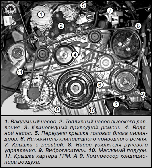 Приводной ремень спринтер