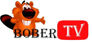 Бобер мультяшный. Бобер строитель логотип. Бобёр канал томми. Бобер строитель логотип. Бобр тв.
