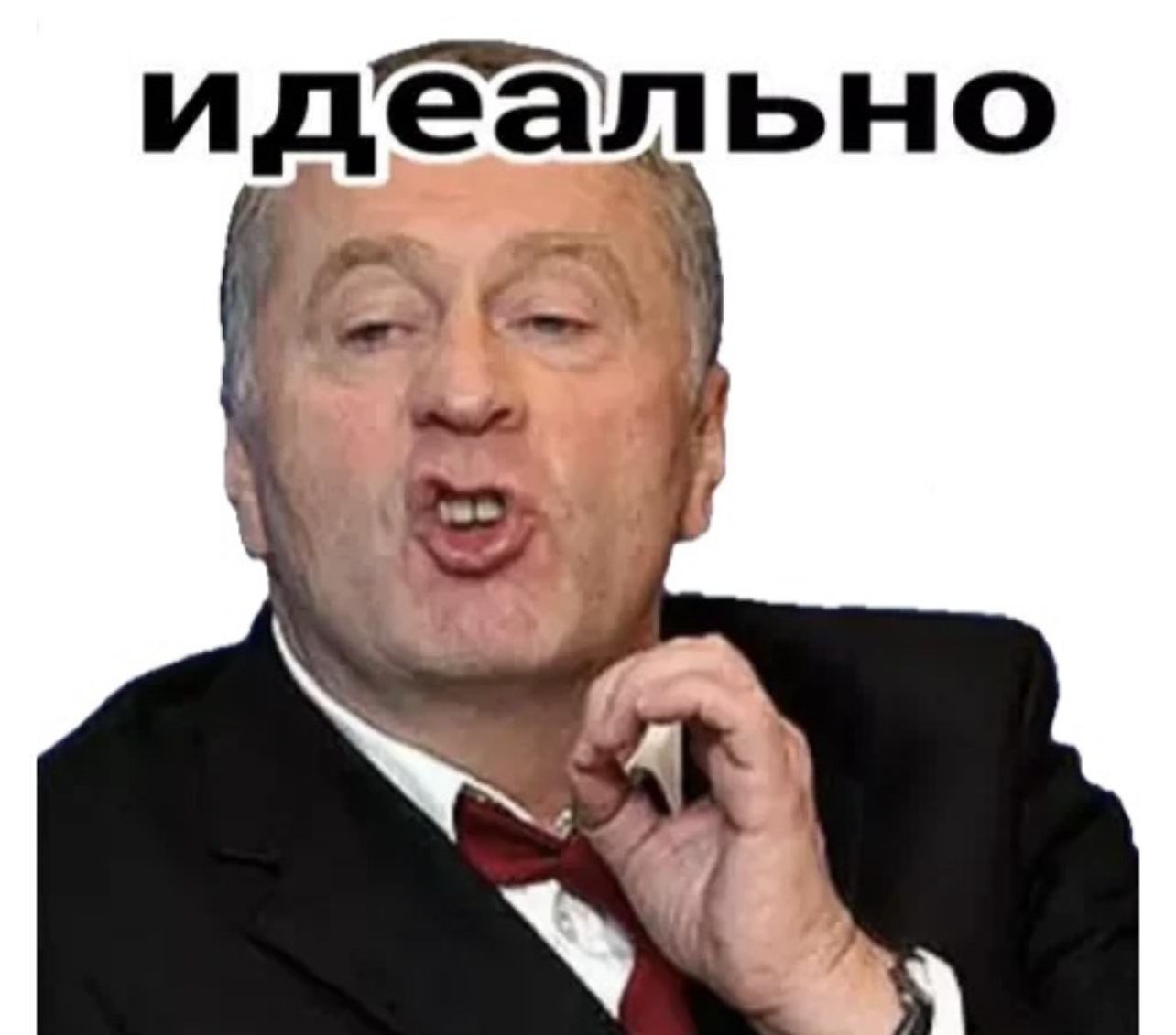 Жириновский идеально Мем