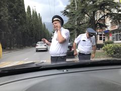 Авто шторки на авто киа соренто