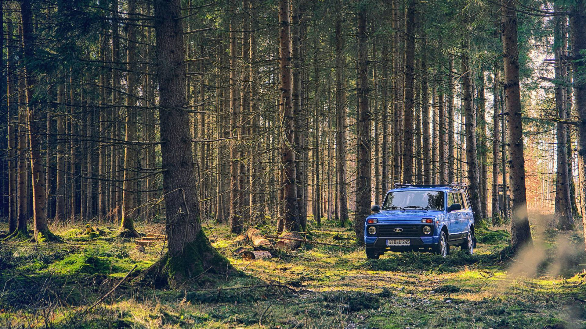 Нива в лесу - Lada 4x4 3D, 1,8 л, 1998 года наблюдение DRIVE2