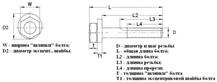 Шаг и диаметр винтов. Болт эксцентриковый Мазда схема. Чертёж болты для регулировки сход-развала. Чертёж болтов эксцентрик для развала передних колёс Kia Rio 3. Размеры шляпок болтов.