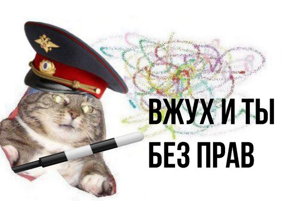 Кот с палочкой мем