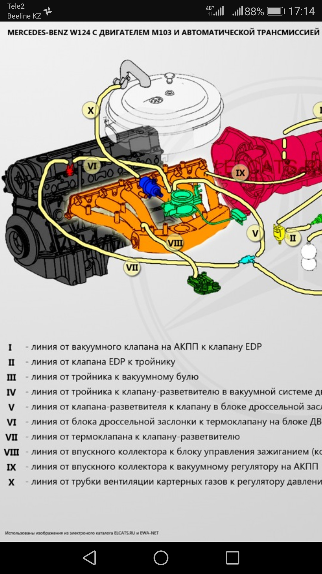 Схема вакуумной системы мерседес 124