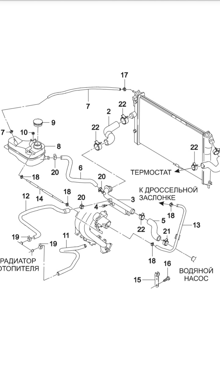 Схема системы охлаждения дэу нексия