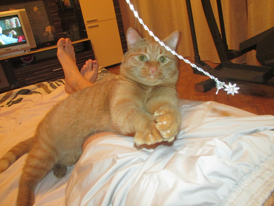 Установка шкворней на шарах — ЛуАЗ 969, 1 л., 2017 года | тюнинг | DRIVE2