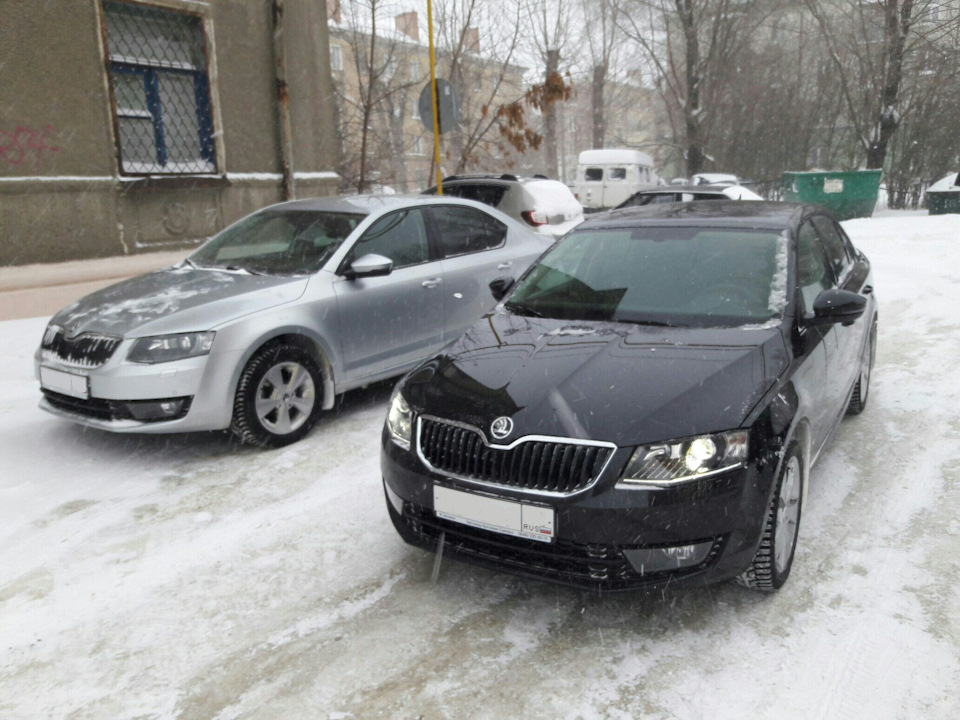 Купить Шкоду Октавию В Белгороде И Области