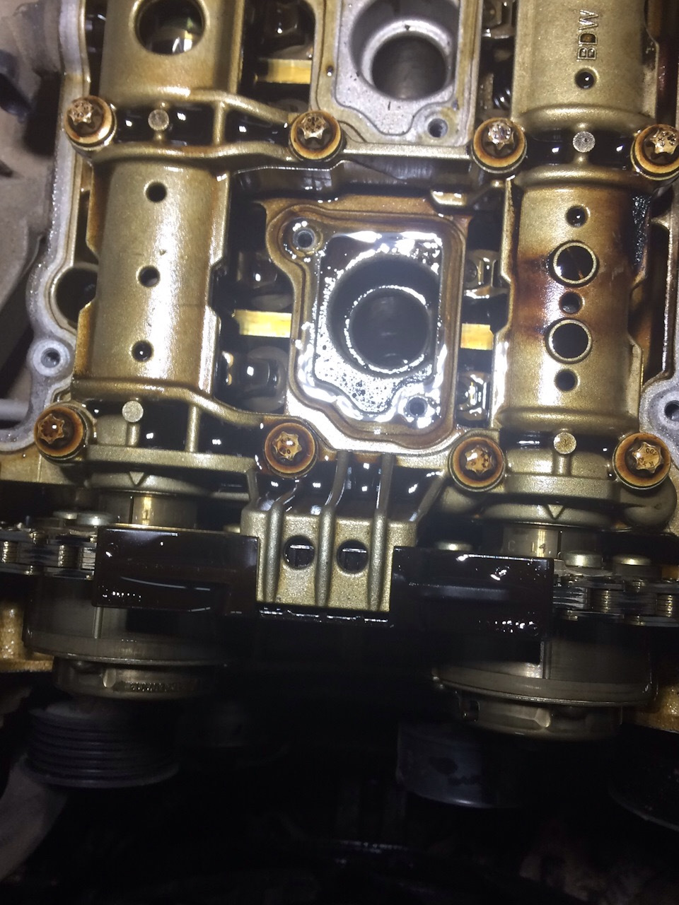 purenudisthost|i12.pixs.ru 018 MinterEllison