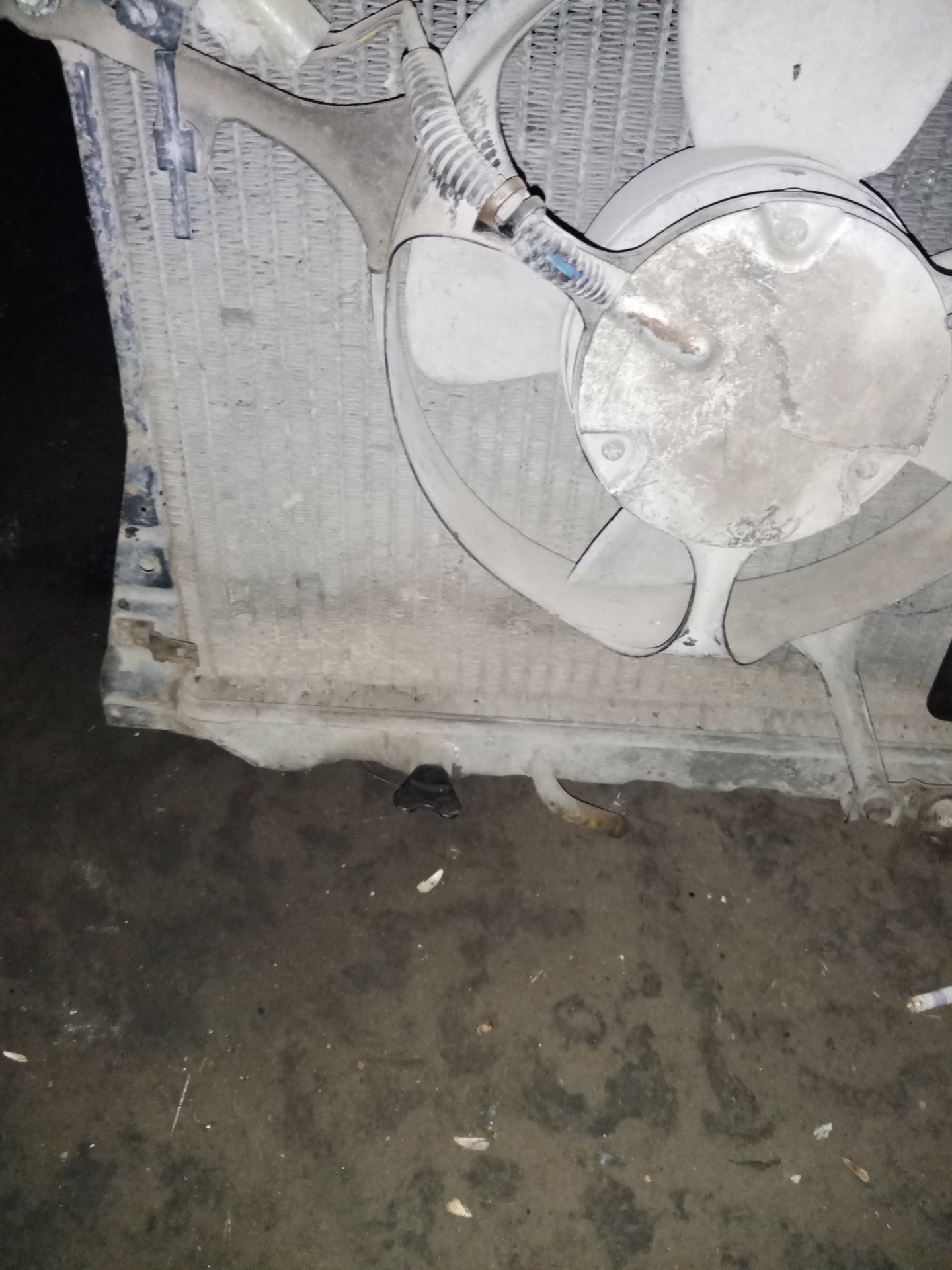 Расход топлива и попытка замены жидкостей — Honda Prelude (AB, BA1/2/3 ...