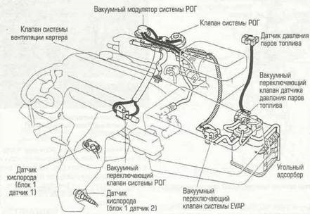 Где на двигателе находится клапан адсорбера обороты или застрелиться))))) - Toyota E120, 1,5 л, 2004 года расходники DRIVE2