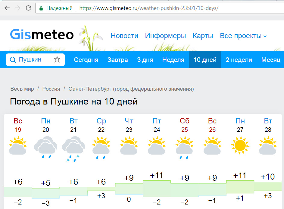 Погода пушкино часы сегодня. Погода в Пушкине. Погода в Пушкино. Погода на завтра. Гисметео.