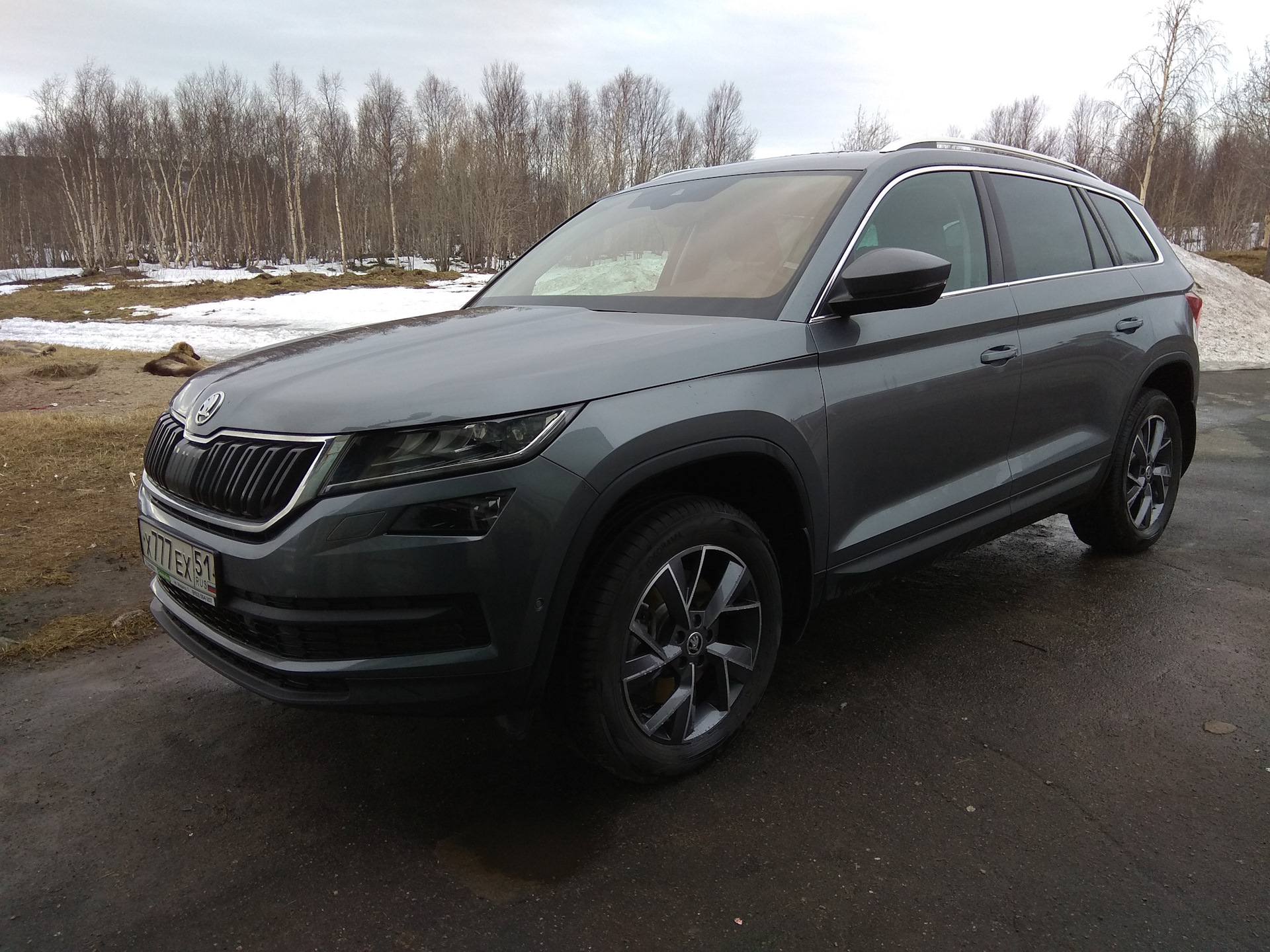 Летние диски — Skoda Kodiaq, 2 л, 2018 года | колёсные диски | DRIVE2