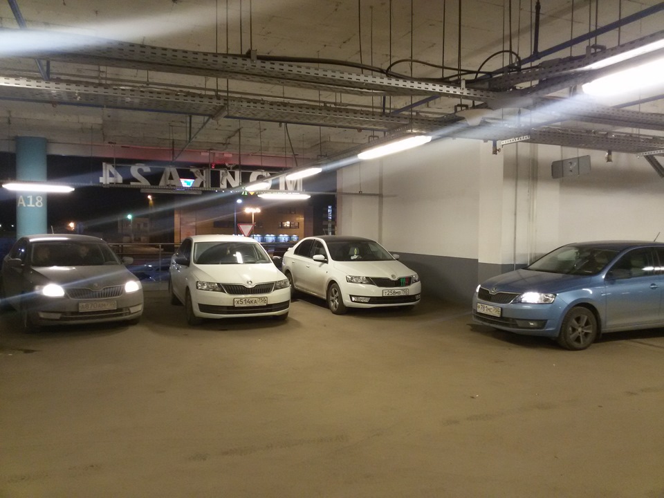 27.03.2016 Встреча СНОВА! Реутов, Балашиха.и кто хочет! — Skoda Rapid ...