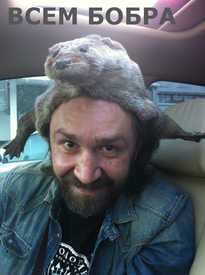 121. Освежил "кулек" — Subaru Forester (SG), 2 л, 2002 года | своими ...