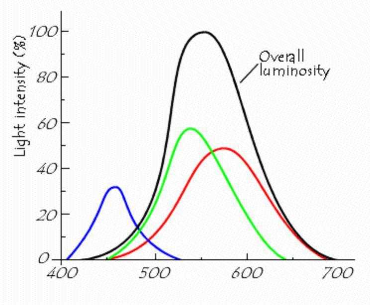 Спектральный глаз. Спектральная чувствительность человеческого глаза. Спектральная чувствительность l, m, s колбочек.. График восприимчивости цвета человеческого глаза. График чувствительности.