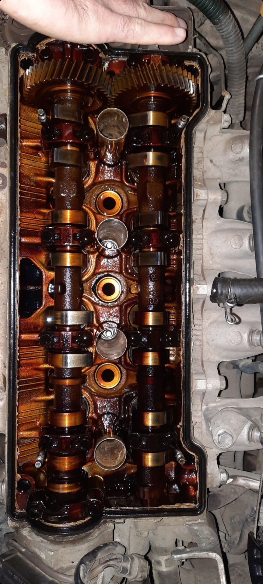 50.000км на Масле zik х5 5w30 — Toyota Corolla (110), 1,5 л, 1995 года ...
