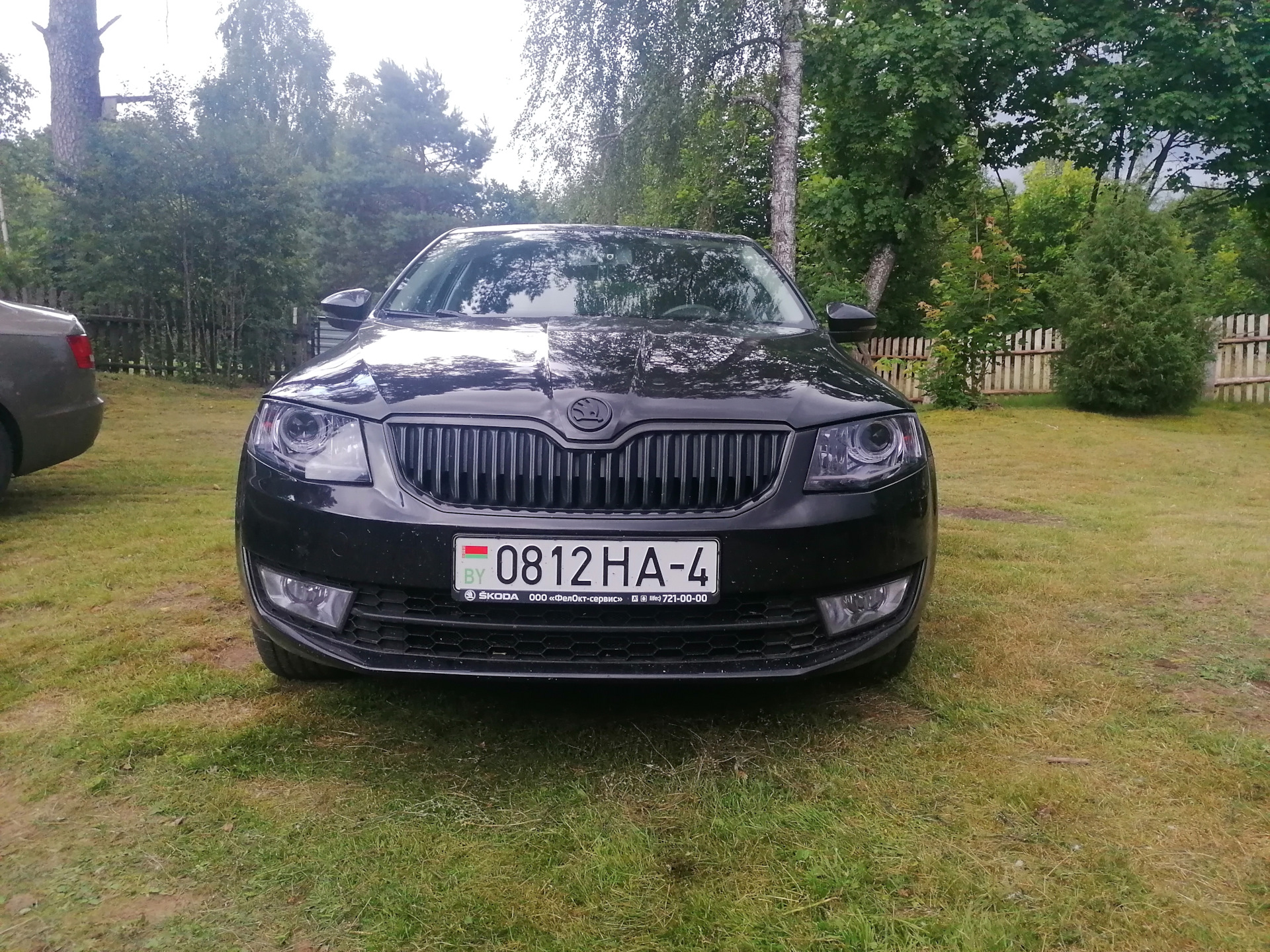 Игра со светом… (часть 3) заигрался?! =)) — Skoda Octavia A7 Mk3, 1,2 л,  2014 года | тюнинг | DRIVE2