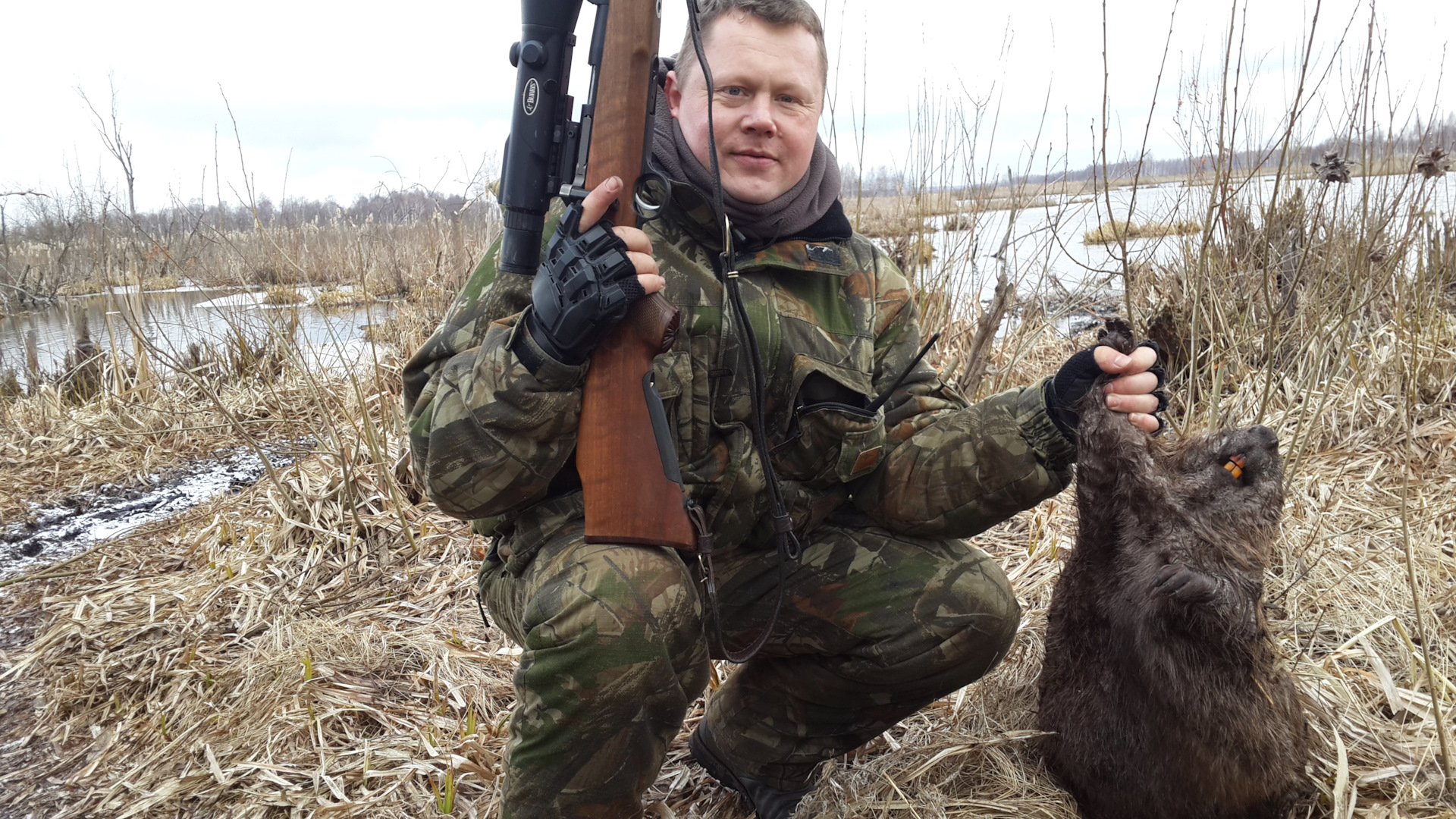 Ведущие бобра