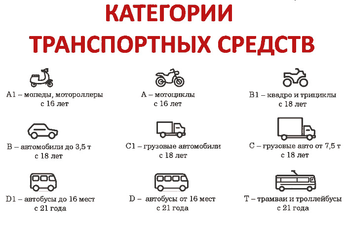 Категория транспортного средства m2 имеет помимо места водителя