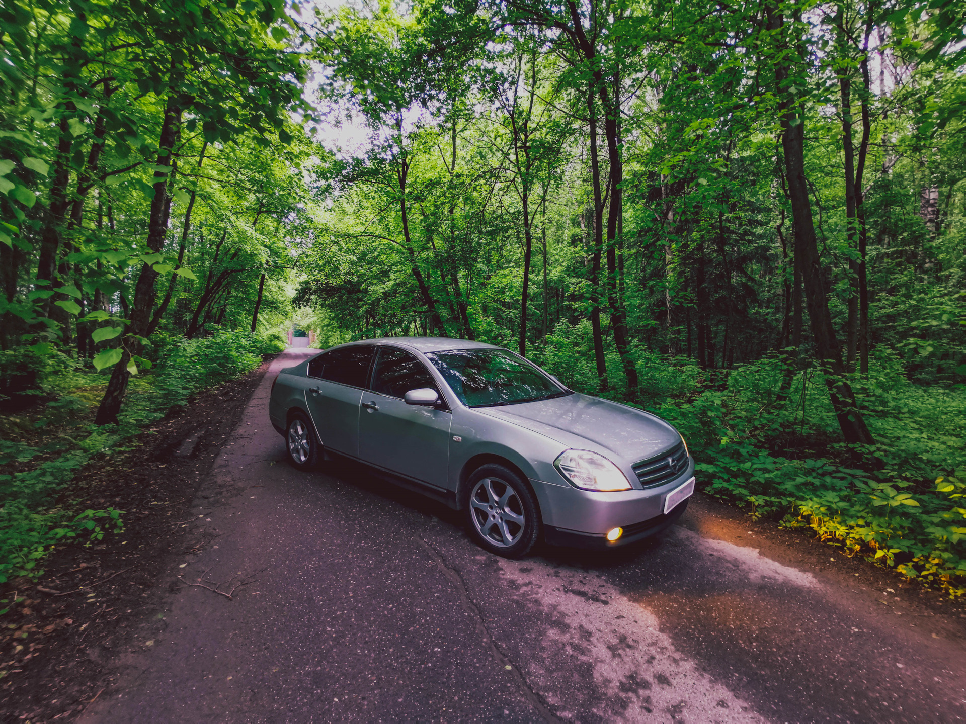 Замена фар на ксенон и бампер Axis. — Nissan Teana (J31), 2,3 л, 2003 ...