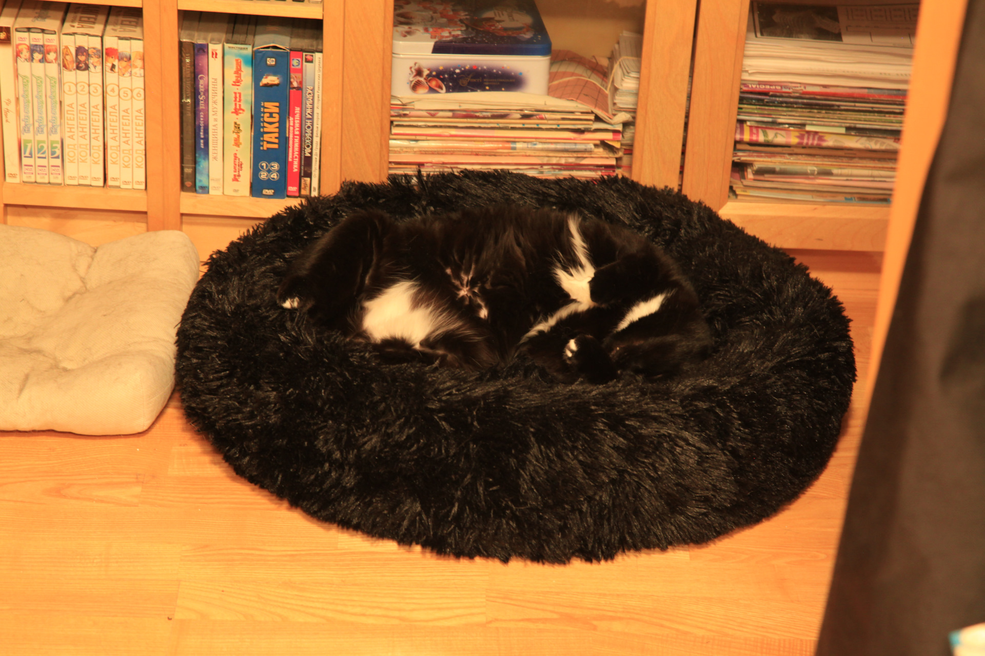 jbl-xe6 — Сообщество «Клуб Почитателей Кассетных Магнитофонов» на DRIVE2