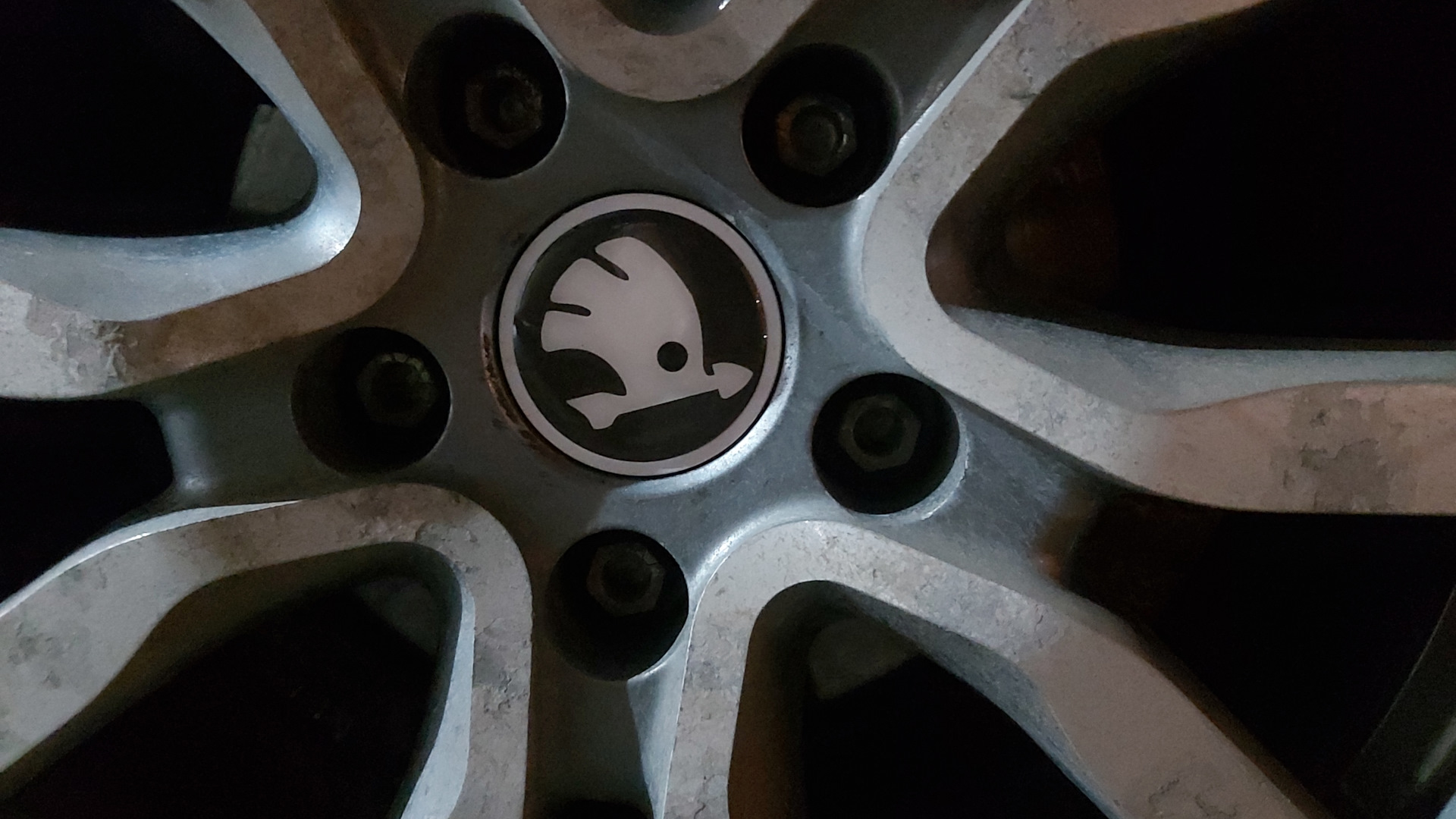 Колпачки(заглушки) ЦО на литые диски Trius R17 — Skoda Octavia A7 Mk3 ...