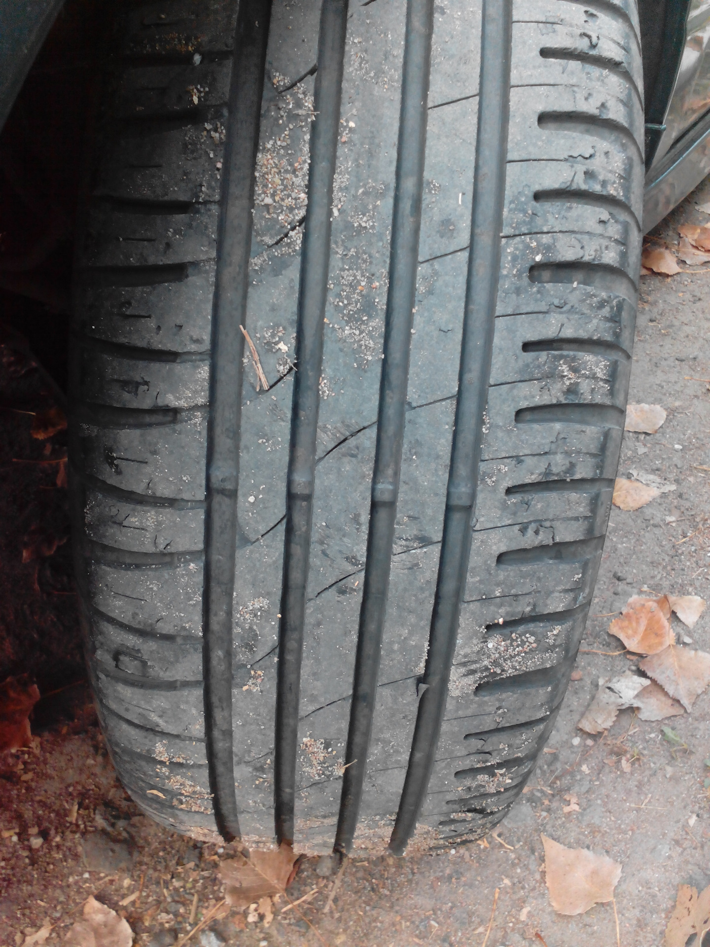 Cordiant sport 205 55 r16 отзывы. Кордиант спорт 3 215/55/16. Кордиант спорт 3 205/55 r16. Кордиант спорт 3. Cordiant Sport 2 205/55 r16.