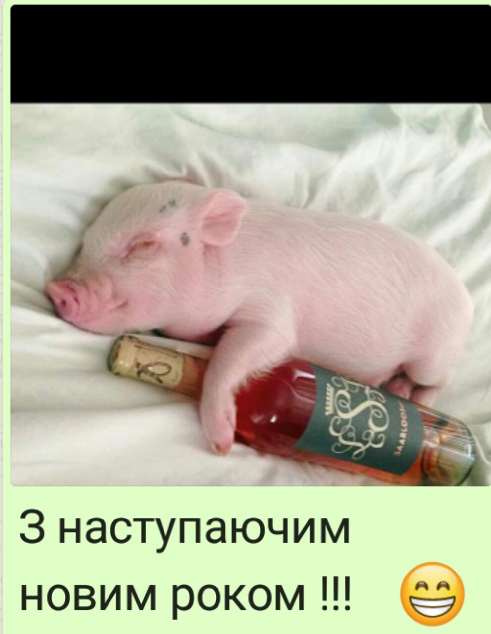 Свинка Пигги