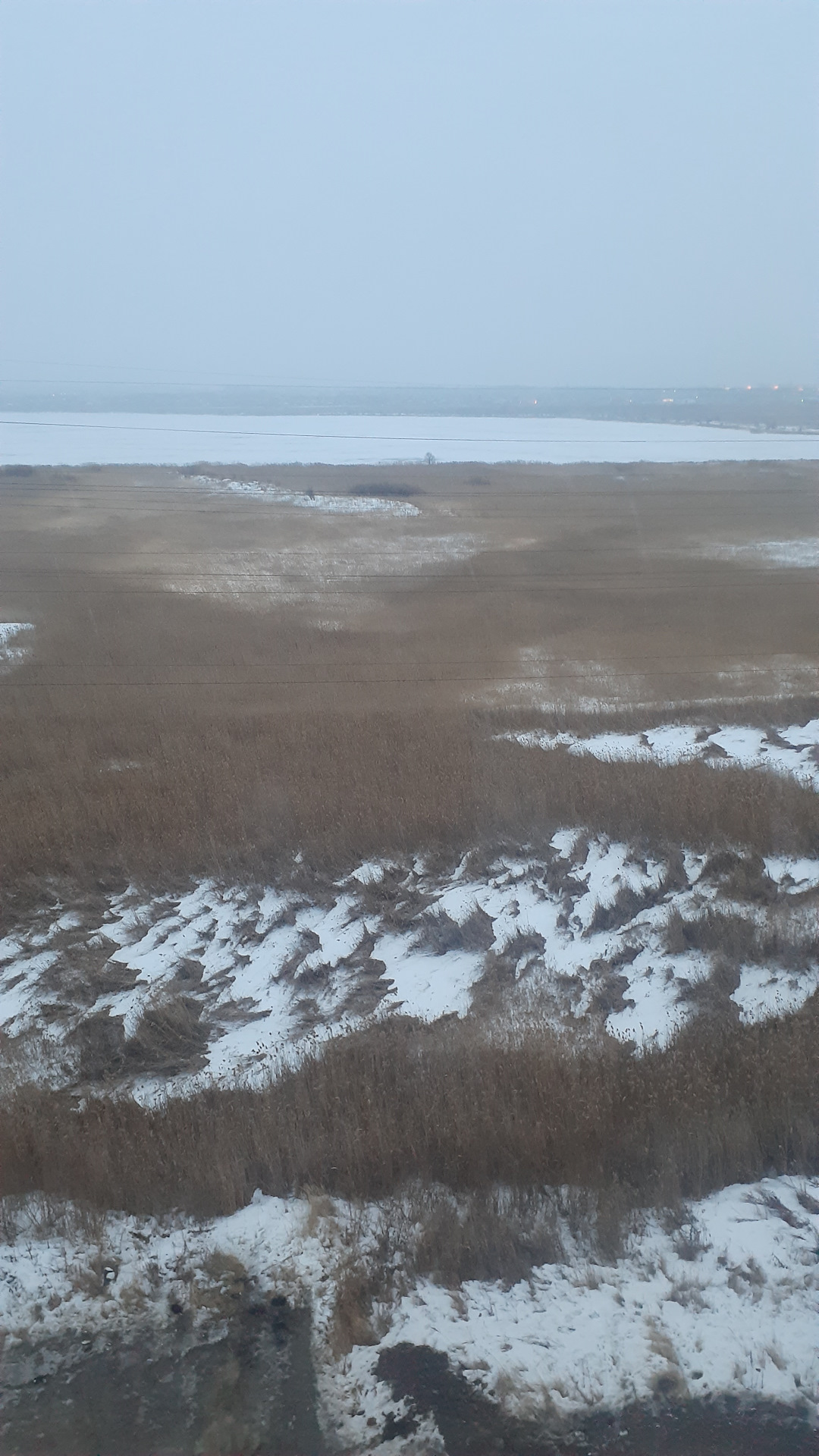 Лето пришло… Пчелы вовсю жужжат уже… — Nissan Tiida (1G), 1,8 л, 2010 ...