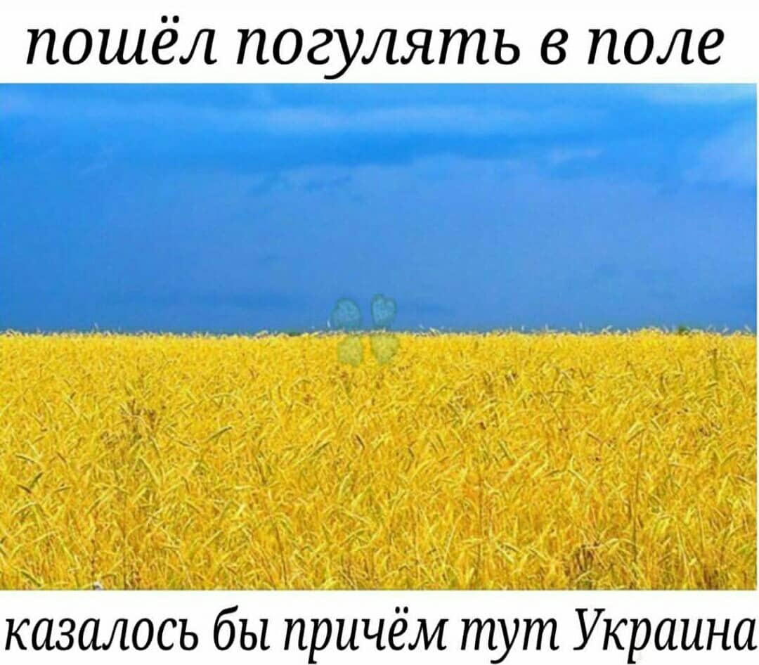 Поле пшеницы флаг Украины