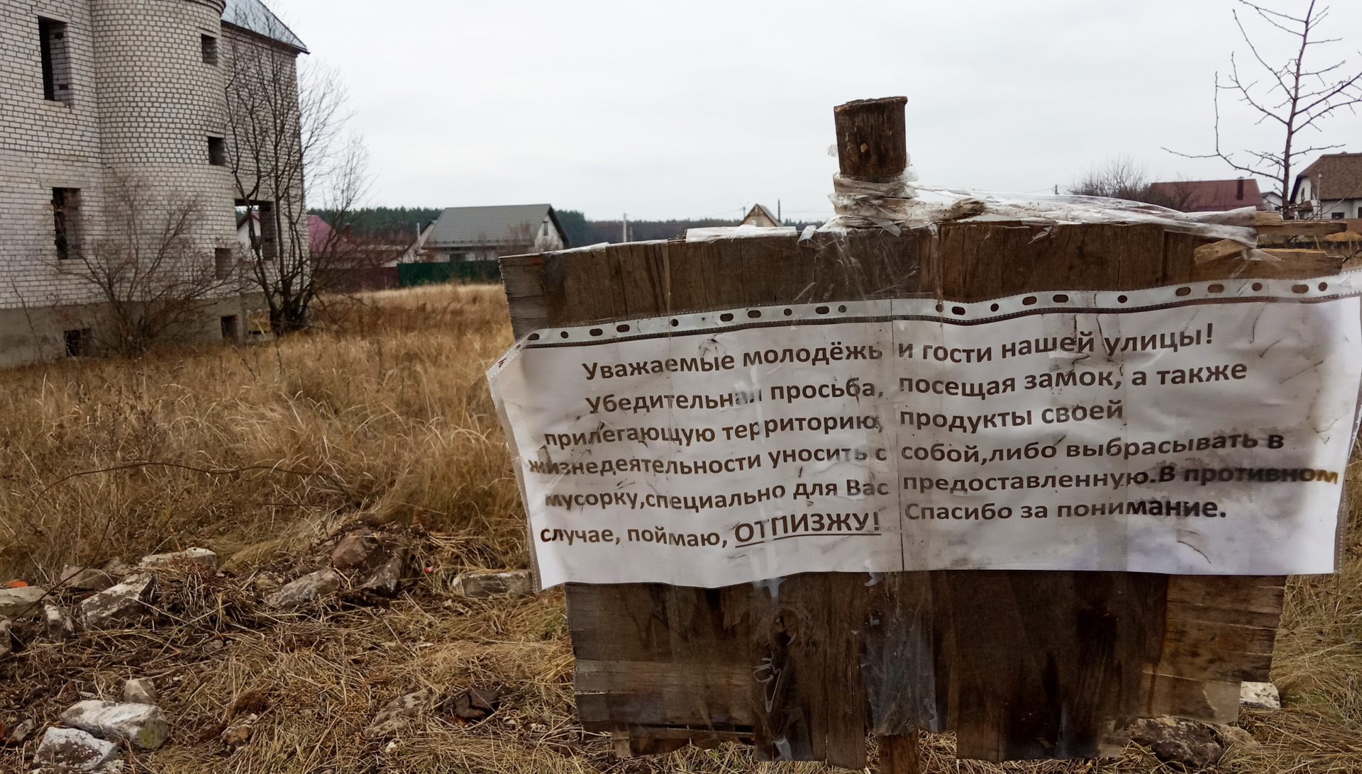 маша бабко минет' 